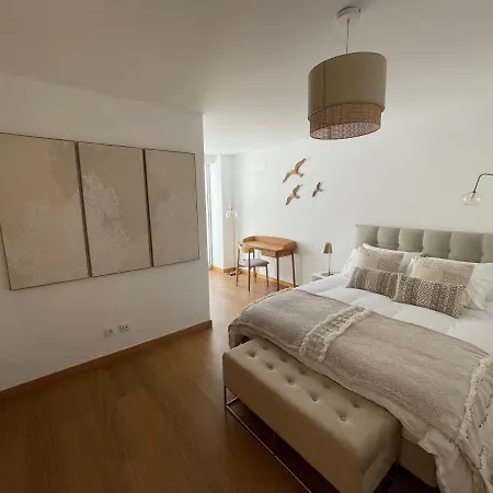 Figueira Centro By Rent4all Apartment